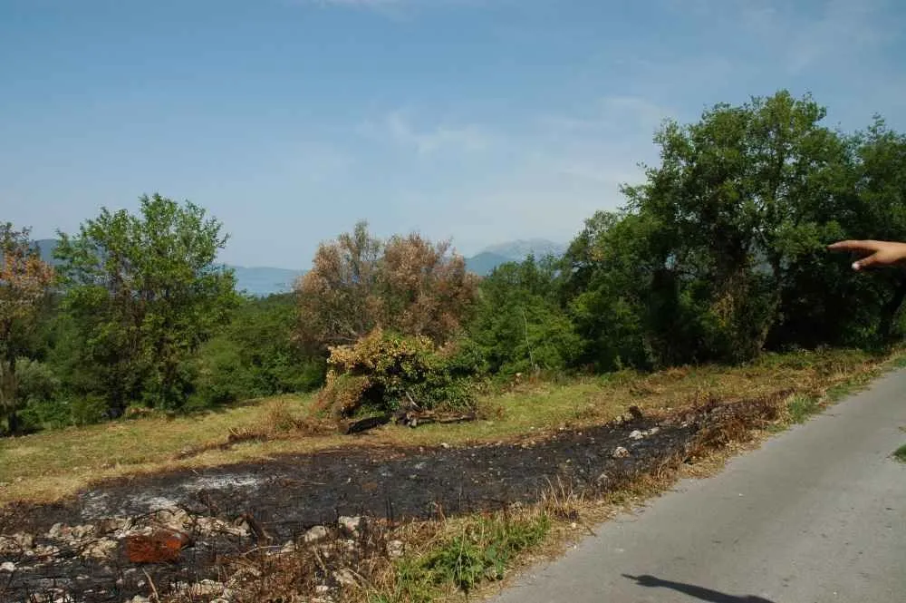Zemljište okruženo zelenilom pored asfaltiranog puta.