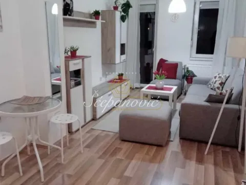 Izdavanje, stan, 34m², Telep, Novi Sad Sve Podlokacije - image 4
