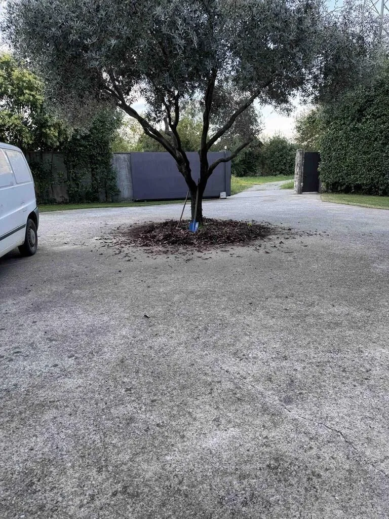 Rent, house, 330m², Podgorica, Crna Gora