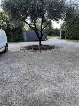 Rent, house, 330m², Podgorica, Crna Gora - image 2