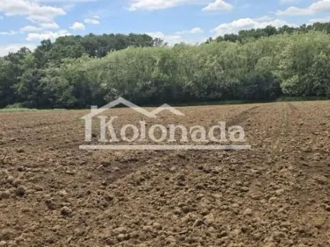 Sale, land lot, 6877m², Nemenikuće, Sopot - image 6