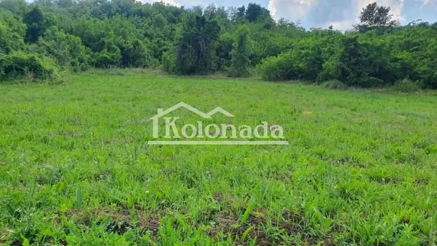 Prodaja, plac, 8000m², Sopot, Beograd