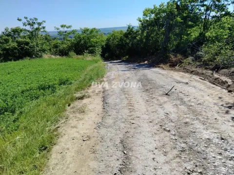 Prodaja, plac, 1200m², Novi Slankamen, Inđija - image 6