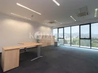 Izdavanje, poslovni prostor, 318m², Preko Morače, Podgorica - image 7