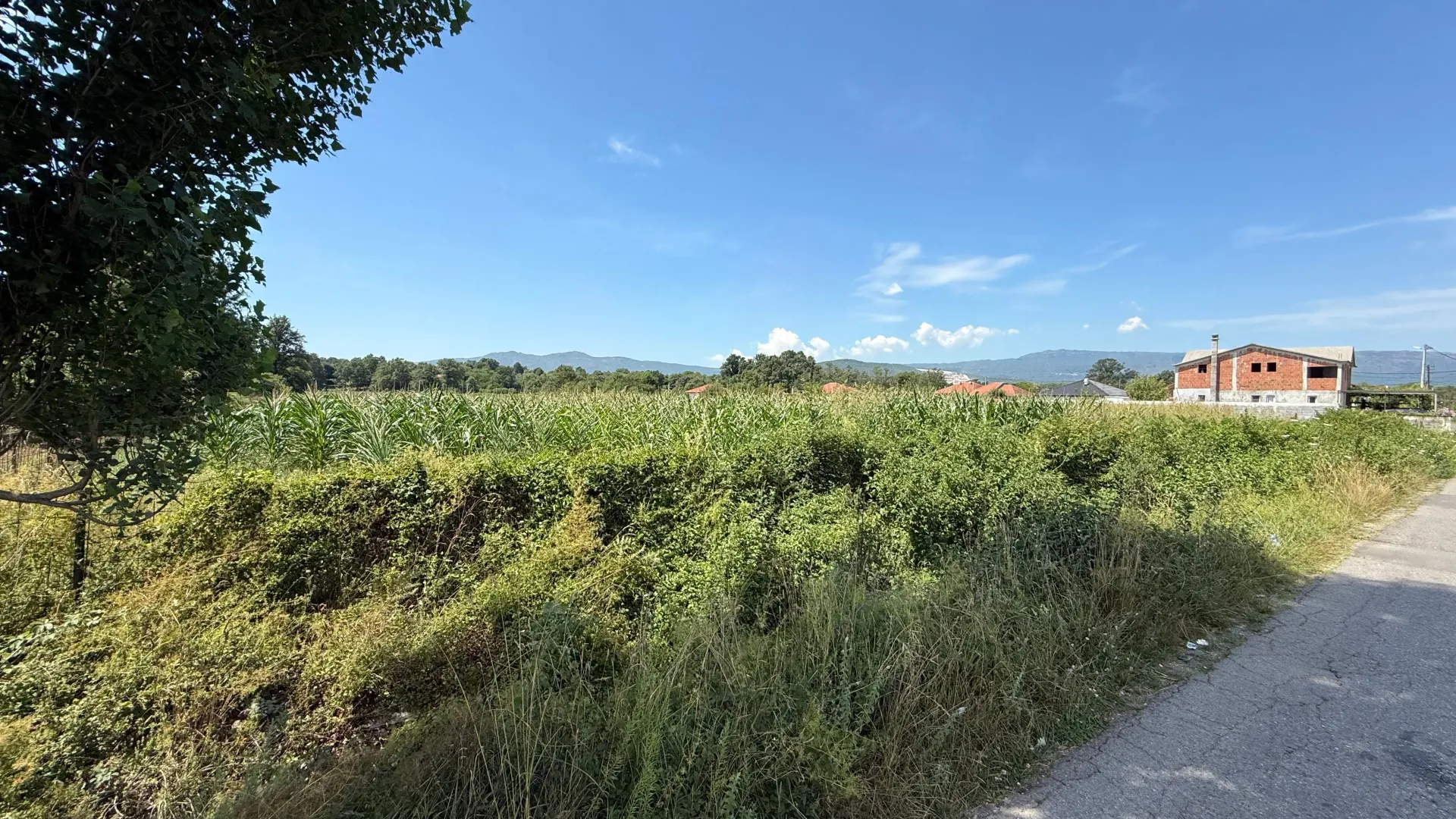Prodaja, plac, 4300m², Klikovače, Danilovgrad