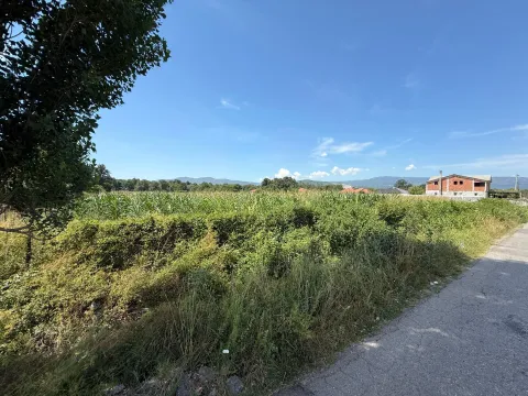 Prodaja, plac, 4300m², Klikovače, Danilovgrad - image 3