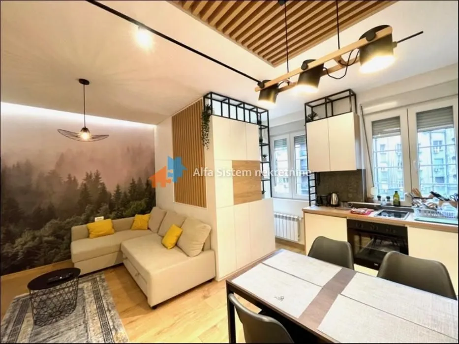 Izdavanje, stan, 35m², Stari Grad, Beograd