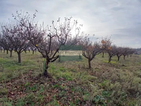 Sale, office space, 723m², Veliki Popović, Despotovac - image 22