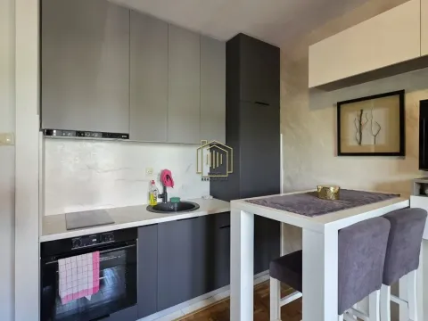 Izdavanje, stan, 25m², Zabjelo, Podgorica - image 5