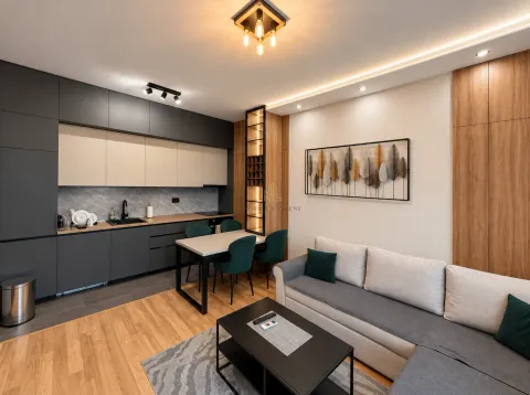 Izdavanje, jednosoban stan, 40m², Zagorič, Podgorica - image 3