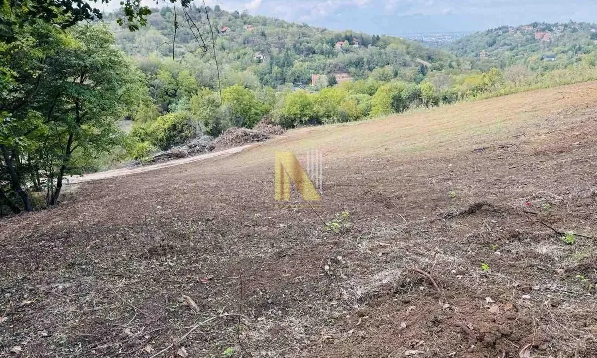 Sale, land lot, 1500m², Sremska Kamenica, Petrovaradin