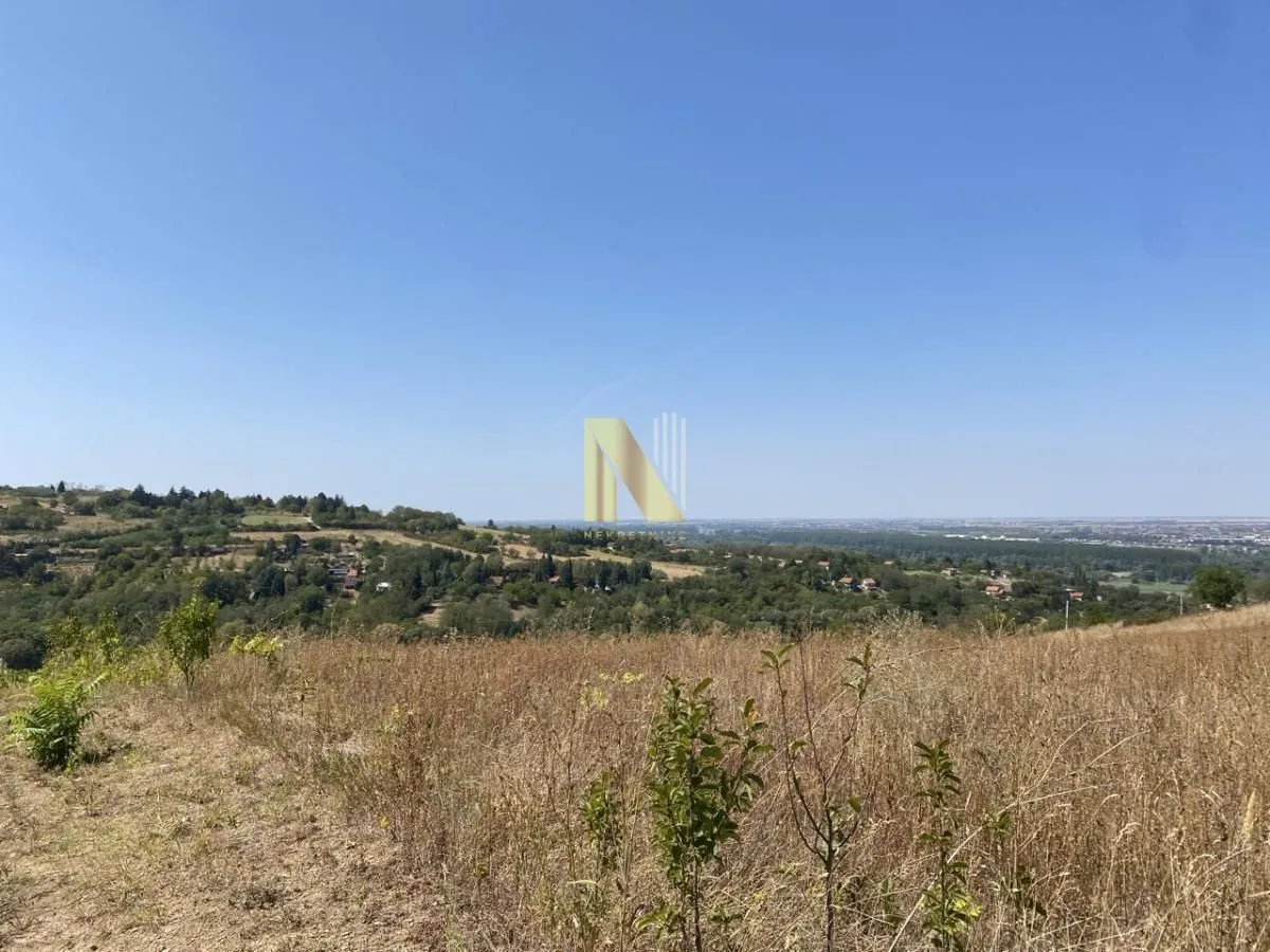 Prodaja, plac, 2656m², Ledinci, Petrovaradin