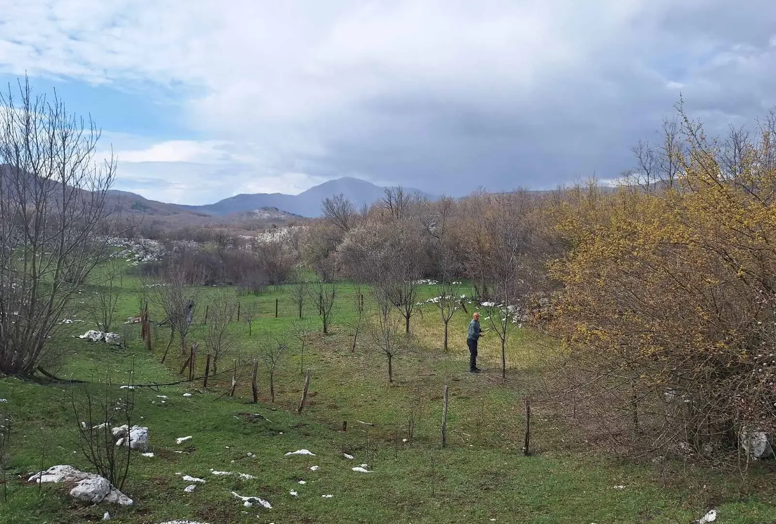 Prodaja, plac, 17000m², Podgorica, Crna Gora