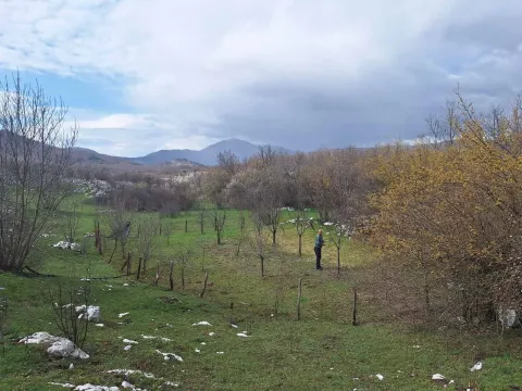 Prodaja, plac, 17000m², Podgorica, Crna Gora - image 5