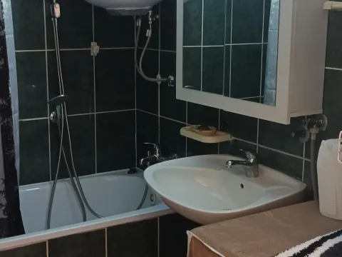 Rent, two bedroom apartment, 60m², Bežanijska Kosa Sve Podlokacije, Beograd - image 15