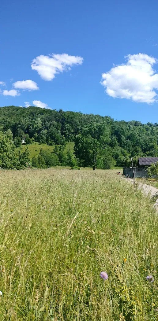 Sale, land lot, 5977m², Kolašin, Crna Gora