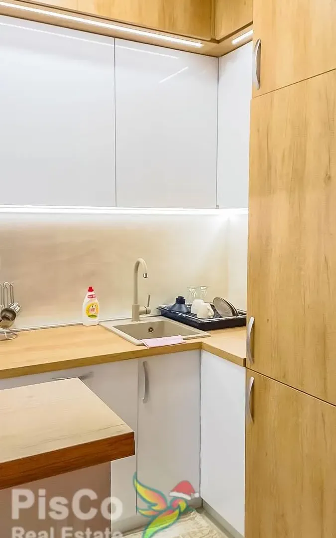 Izdavanje, jednosoban stan, 47m², Central Point, Podgorica