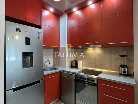 Rent, one bedroom apartment, 43m², Ljubović, Podgorica - image 7