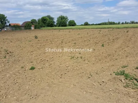 Prodaja, plac, 720m², Begeč, Novi Sad Sve Podlokacije - image 2
