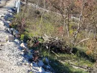 Sale, land lot, 5000m², Bandići, Danilovgrad - image 4