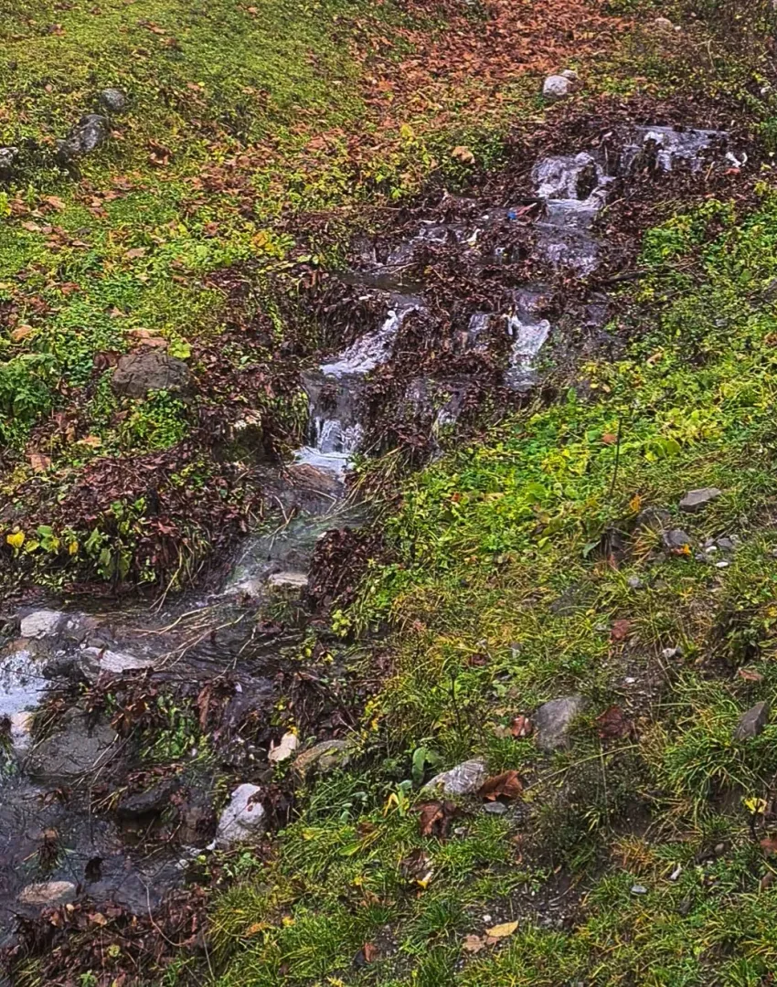 Prirodni potok i travnata površina na placu.