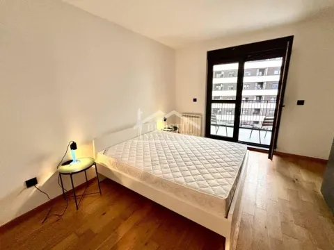 Izdavanje, dvosoban stan, 60m², Hala Pionir, Palilula Sve Podlokacije - image 8