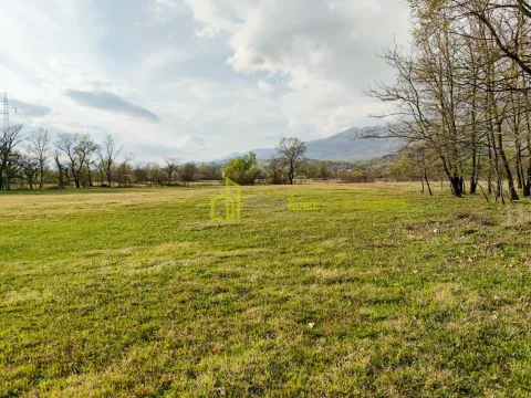 Prodaja, plac, 11000m², Spuž, Danilovgrad - image 3