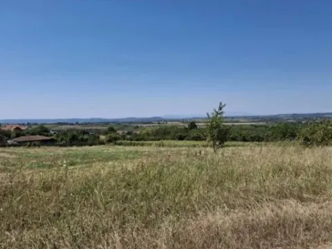 Sale, land lot, 10800m², Baničina, Smederevska Palanka - image 6