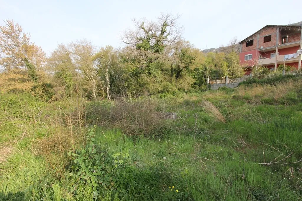 Zeleni plac okružen drvećem sa kućom u pozadini.
