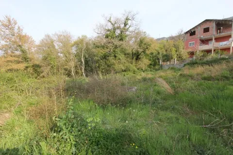 Zeleni plac okružen drvećem sa kućom u pozadini. - image 5