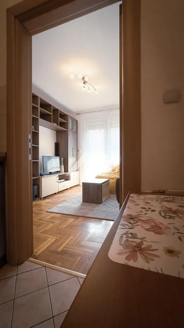 Izdavanje, jednosoban stan, 37m², Nova Detelinara, Novi Sad Sve Podlokacije