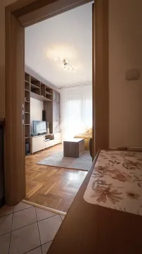 Izdavanje, jednosoban stan, 37m², Nova Detelinara, Novi Sad Sve Podlokacije - image 6