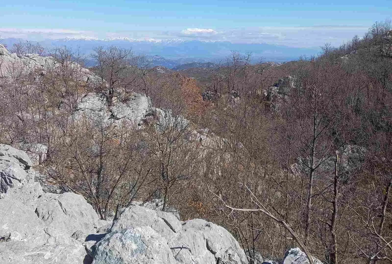 Prodaja, plac, 128000m², Cetinje, Crna Gora
