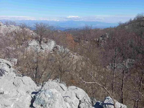 Prodaja, plac, 128000m², Cetinje, Crna Gora - image 8