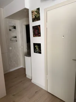 Izdavanje, jednosoban stan, 50m², Dubovica, Budva - image 3