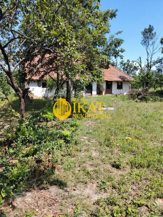 Prodaja, plac, 2100m², Titel, Novi Sad
