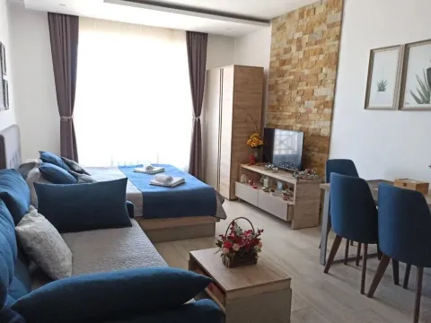 Prodaja, jednosoban stan, 28m², Kraljevi Čardaci, Kopaonik - image 11