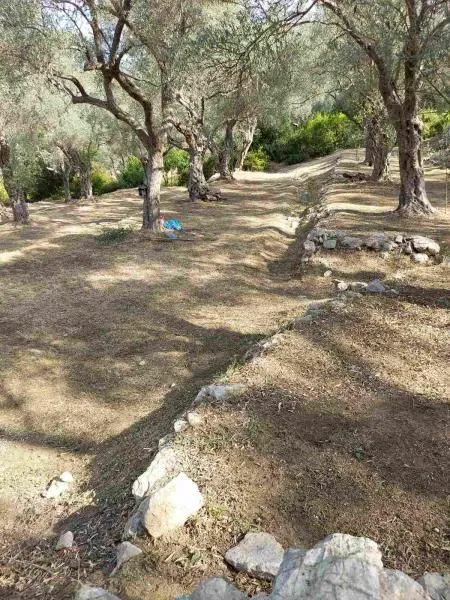 Prodaja, plac, 3500m², Bar, Crna Gora