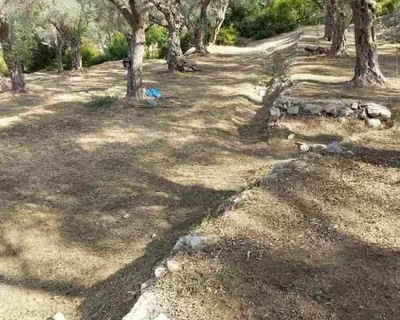 Prodaja, plac, 3500m², Bar, Crna Gora - image 1