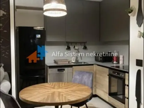 Izdavanje, dvosoban stan, 55m², Savski Venac, Beograd - image 4