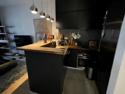 Rent, one bedroom apartment, 35m², Trošarina, Voždovac Sve Podlokacije - image 4