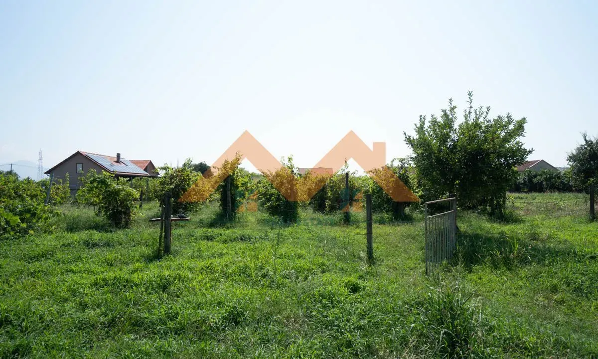 Prodaja, plac, 1546m², Beri, Podgorica