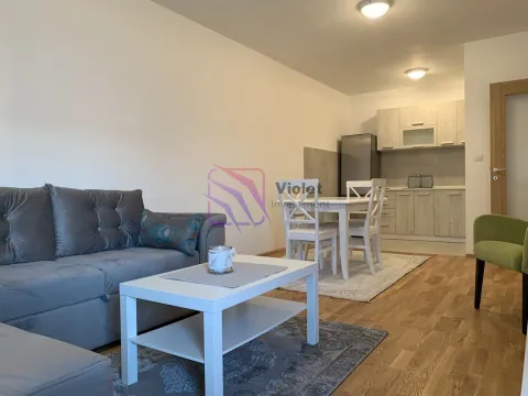 Rent, one bedroom apartment, 49m², Stari Aerodrom, Podgorica - image 8