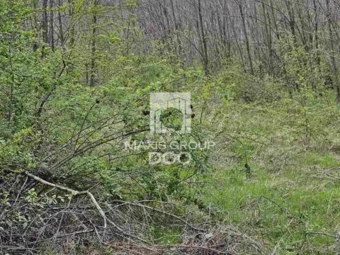 Prodaja, plac, 976m², Draževac, Obrenovac - image 3