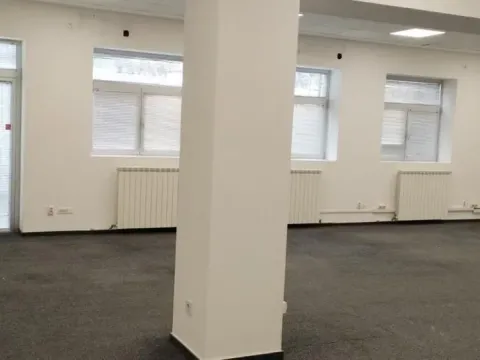 Izdavanje, poslovni prostor, 320m², Novi Beograd Blok 65, Novi Beograd Sve Podlokacije - image 2