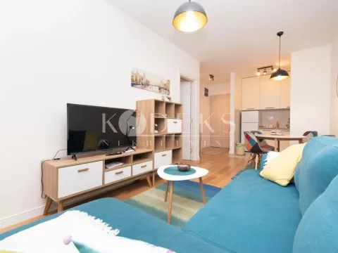 Izdavanje, jednosoban stan, 39m², Central Point, Podgorica - image 2