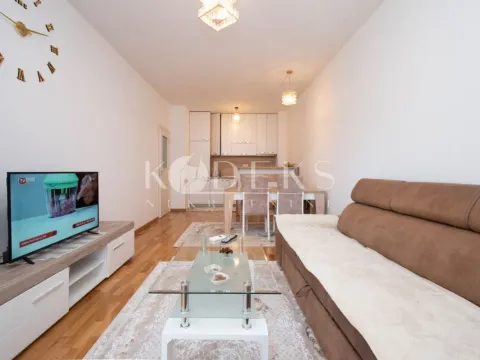 Izdavanje, jednosoban stan, 46m², Stari Aerodrom, Podgorica - image 1