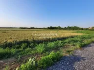 Prodaja, plac, Jakovo, Surčin - image 11