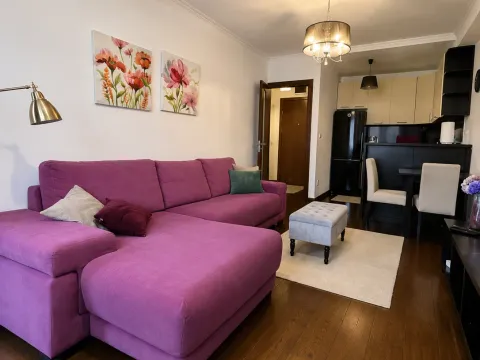 Rent, one bedroom apartment, 45m², Gorica C, Podgorica - image 2