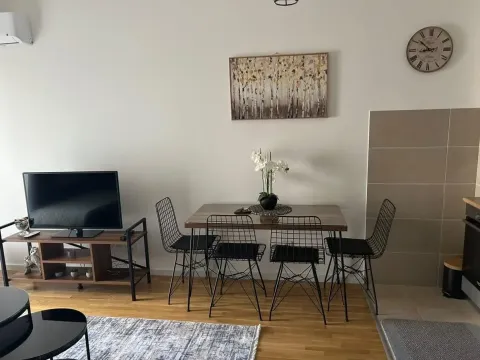 Rent, one bedroom apartment, 44m², Zabjelo, Podgorica - image 2